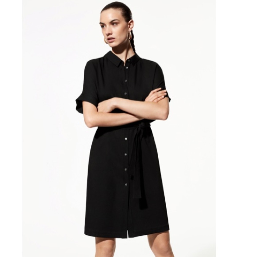 Aritzia Babaton Glenn Dress